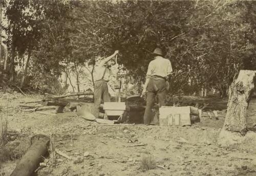 Gold mining in Australia, cradling, ca. 1895 [picture]