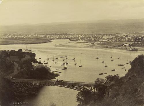 Launceston per S.S. Pateena, Tasmania, January 19th 1895 [picture] / J.W. Beattie