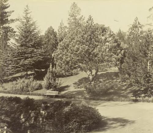 Botanical Gardens, Hobart, ca. 1895 [picture] / Francis Boileau