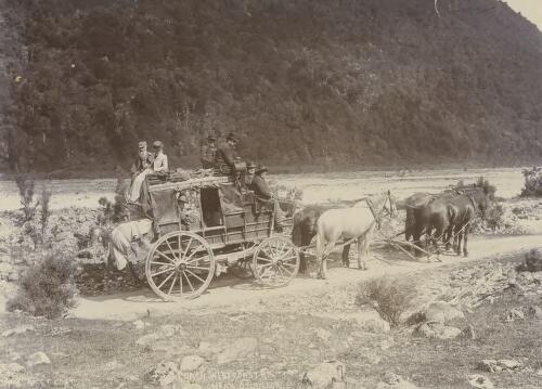 Cassidy's coach, West Coast Road near Otira Gorge, New Zealand, 1895 [picture]