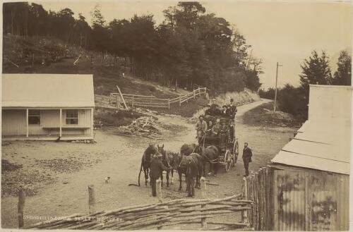 Springfield Coach at Bealey, New Zealand, 1894 [picture] / J.R