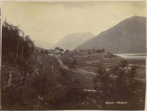 Bealey township, New Zealand. 1894 [picture]