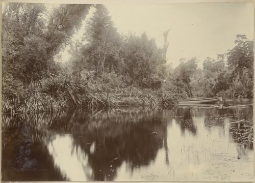 Mahinapua Creek, New Zealand, 1 [picture] / F. Boileau