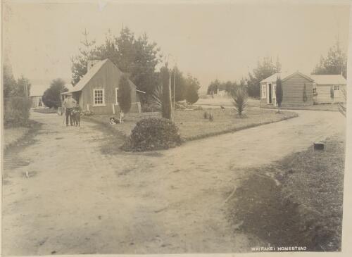 Man with three dogs standing on road amongst dwellings, Wairakei, New Zealand [picture]