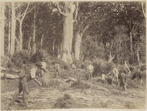 Kauri forest gumdiggers [picture] / Josiah Martin