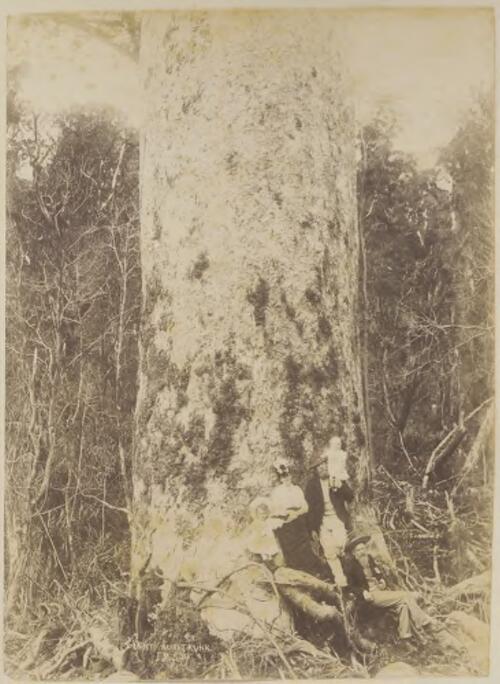 Couple with two children and an older man leaning against the trunk of a kauri tree [picture] / Josiah Martin