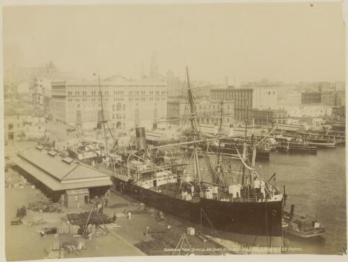 Circular Quay, Sydney, ca. 1895 [picture] / Charles Kerry