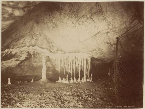 Nelly's Grotto, Jenolan Caves, New South Wales [picture] / Kerry & Co