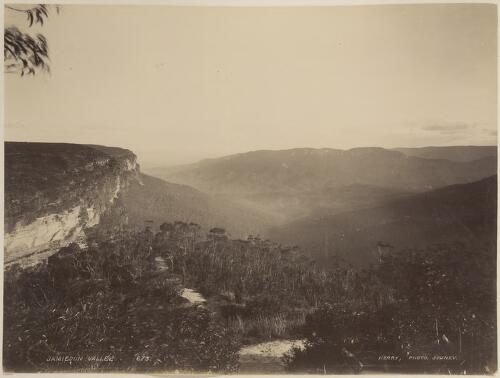 Jamieson Valley, Blue Mountains, New South Wales [picture] / Kerry & Co