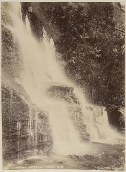 Katoomba Falls, Blue Mountains, New South Wales [picture] / Kerry & Co