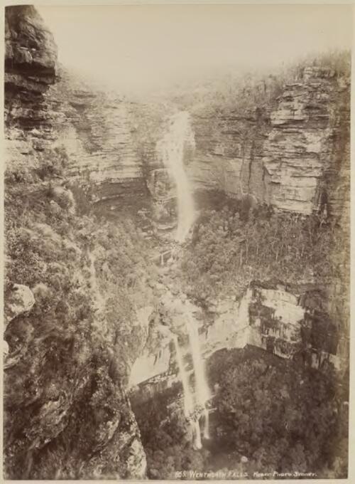 Wentworth Falls, Blue Mountains, New South Wales [picture] / Kerry & Co