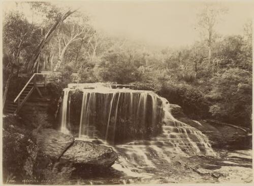 Weeping Rock, Wentworth Falls, Blue Mountains, New South Wales [picture] / Kerry & Co