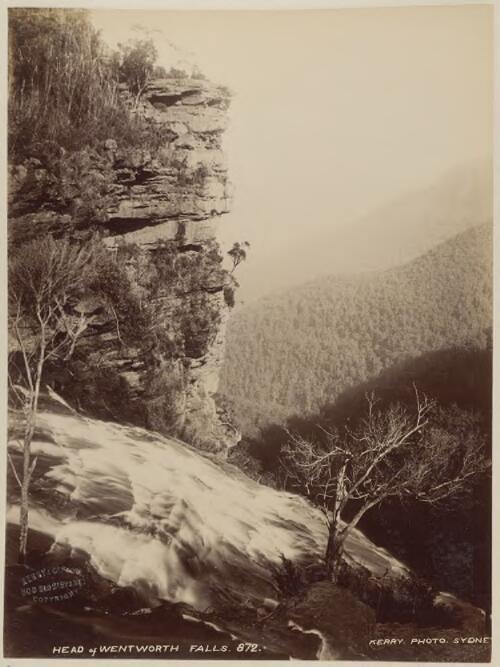Head of Wentworth Falls, Blue Mountains, New South Wales [picture] / Kerry & Co