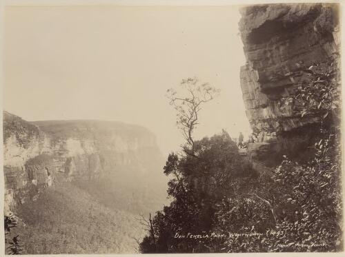Den Fenella Path, Wentworth, Blue Mountains, New South Wales [picture] / Kerry & Co