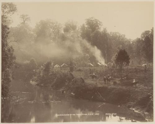 Clearing scrubland on the Tweed River, New South Wales [picture] / Kerry & Co