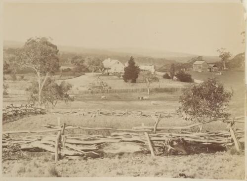 Log fence, Glenmere Station, Bombala, New South Wales [picture] / F. Boileau