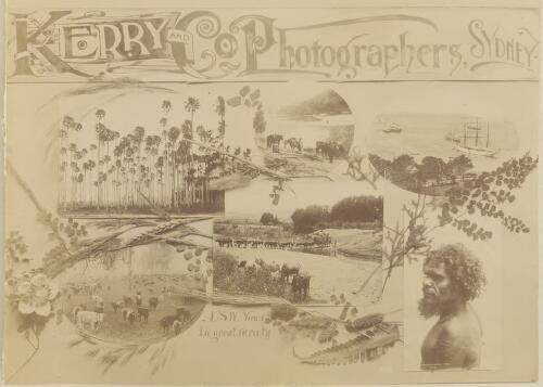 Advertisement for Kerry and Co., photographers, Sydney [picture] / Kerry & Co