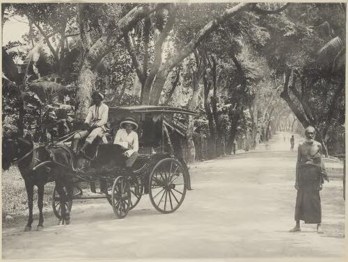 A horse and carriage being driven along Skinner's Road, Colombo, Sri Lanka [picture]
