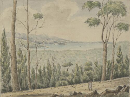View from Mount Terry, looking towards Illawarra Lake, New South Wales [picture] / Robert Marsh Westmacott