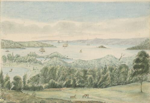 [View of Sydney Harbour from the Domain] [picture] / Robert Marsh Westmacott