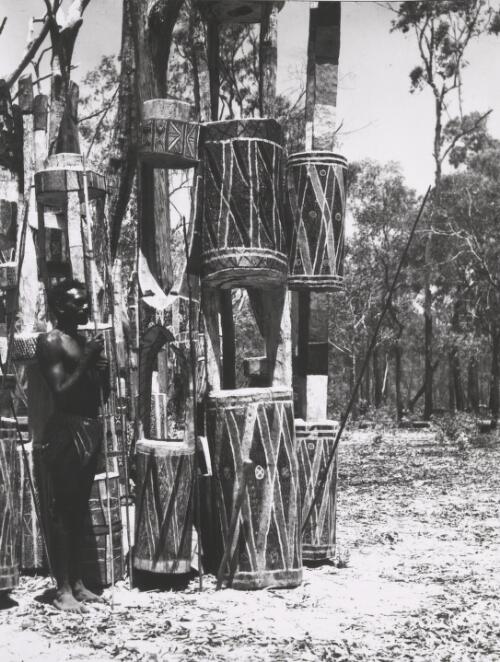 Strangler standing by Pukamuni grave posts, Snake Bay, Melville Island, Northern Territory, October 1948 [picture] / Axel Poignant