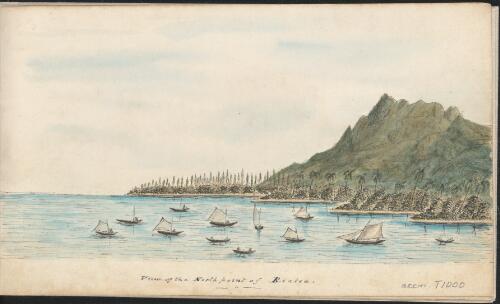 View of the north point of Riatea [i.e. Raiatea], ca. 1850 [picture]