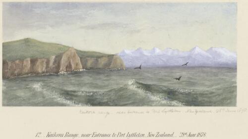 Kaikora [i.e. Kaikoura] Range, near entrance to Port Lyttleton [i.e. Lyttelton], New Zealand [picture] / [T.G. Glover]