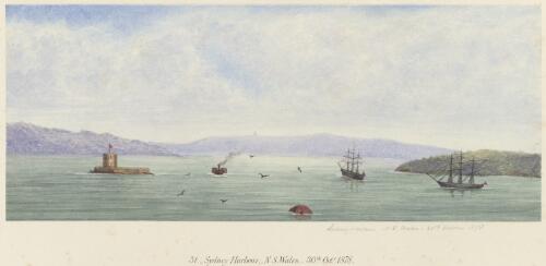 Sydney Harbour, N.S. Wales [picture] / [T.G. Glover]