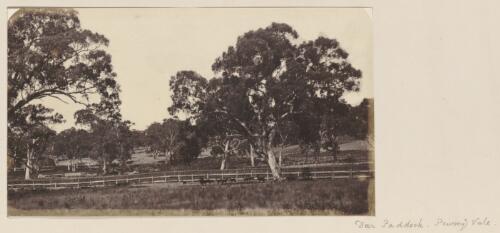 Deer paddock, Pewsey Vale [picture]
