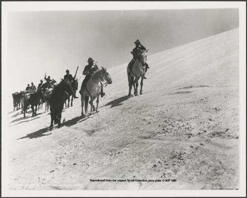 Horses carrying supplies to Mount Kosciuszko, Snowy Mountains, New South Wales, ca. 1900 [picture] / Charles Kerry