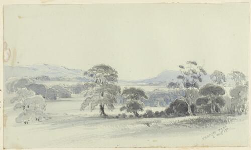 Throsby Park from the verandah [picture] [George Penkivil Slade]