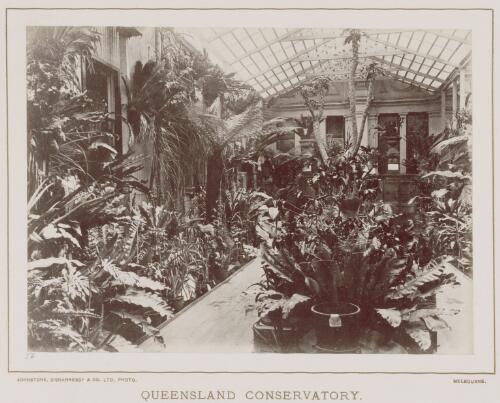Queensland conservatory [picture] / Johnstone, O'Shannessy & Co