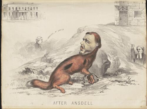 After Ansdell [picture]
