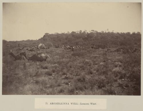 Arcoeillinna Well looking west, Elder Scientific Exploration Expedition, South Australia, approximately 1891 [picture] / Frederick Elliott