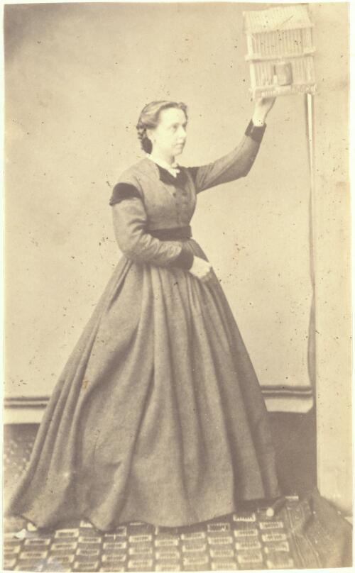 Portrait of a woman, ca. 1865 [picture] / J. Chester Jervis