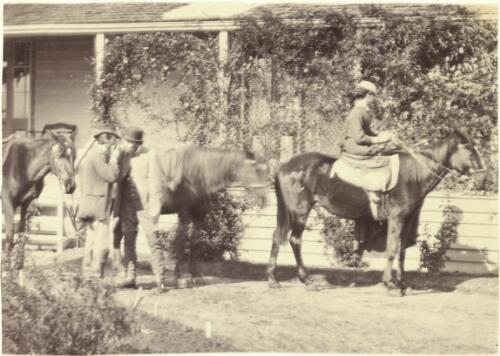 Woman on a horse and two men with horses in front of a homestead with a verandah, Victoria, ca. 1866 [picture] / J. Chester Jervis