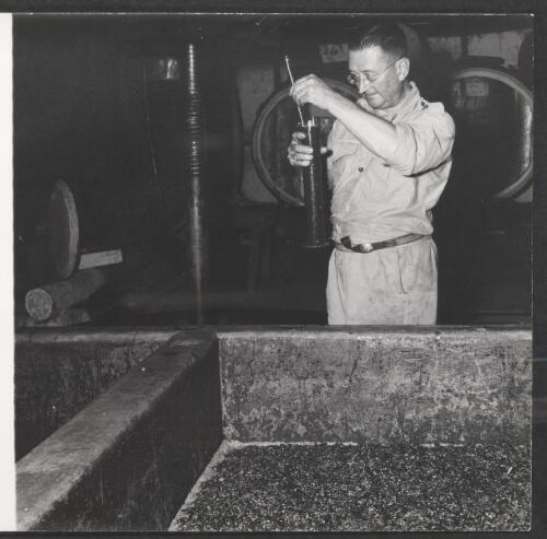 [Testing the fermenting grapes, Mount Pleasant winery, New South Wales, 1950] [picture]