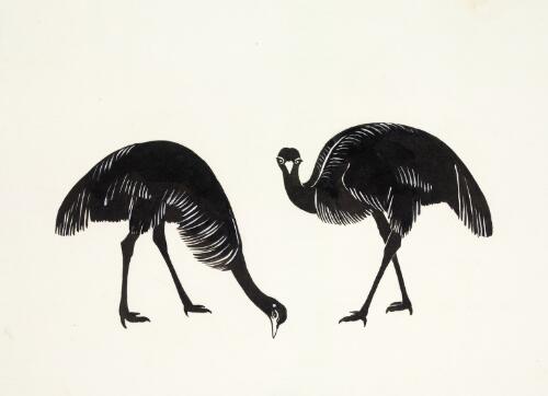 Dinewan the emu [picture]