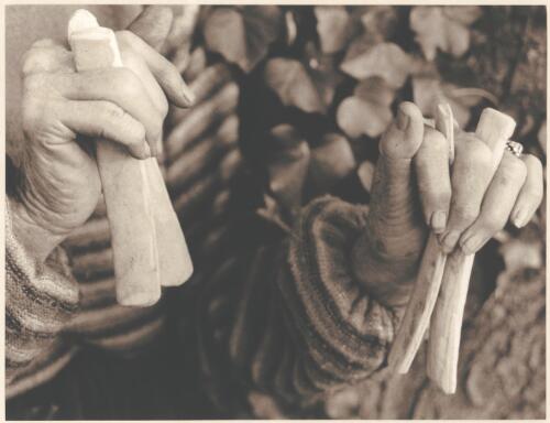 Portrait of Sally Tompkinson's hands [picture]