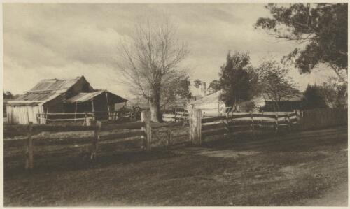 Outback, New South Wales [picture] / Cazneaux