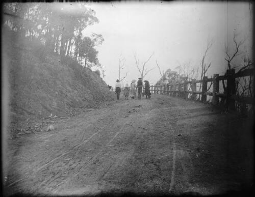 A family walking on the Nangus road, Gundagai, New South Wales [picture] / Charles Gabriel
