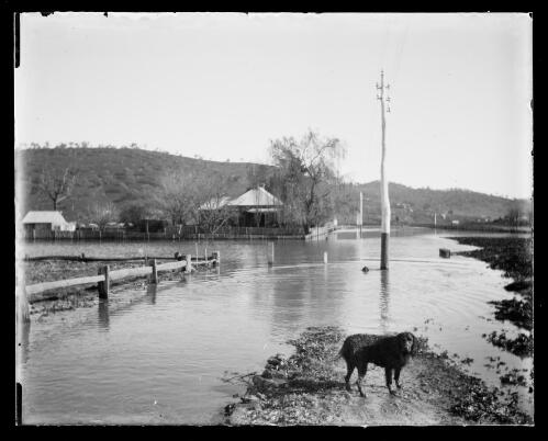 Main Street during the flood, Gundagai, New South Wales, 1900 / Charles Gabriel