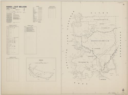 Parish of East Nelligen, County of St. Vincent [cartographic material] / printed & published by Dept. of Lands Sydney
