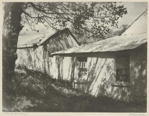 The old homestead, N.S.W. [picture] / H. Cazneaux