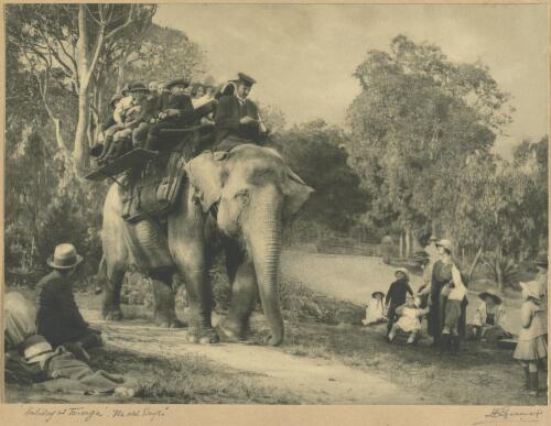 Holiday at Taronga [picture] : the old days / H. Cazneaux