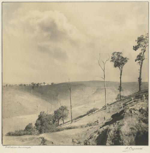 Australian landscape [picture] / H. Cazneaux
