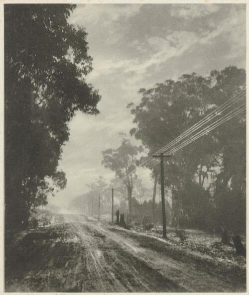 Old South Road near Mittagong [picture] / H. Cazneaux