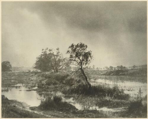 Clearing showers, Narrabeen, New South Wales [picture] / H. Cazneaux