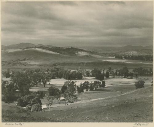 Canberra country, Murrumbidgee Valley [picture] / H. Cazneaux
