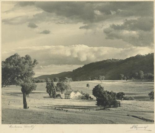 Cottage in Canberra country, Australian Capital Territory [picture] / H. Cazneaux